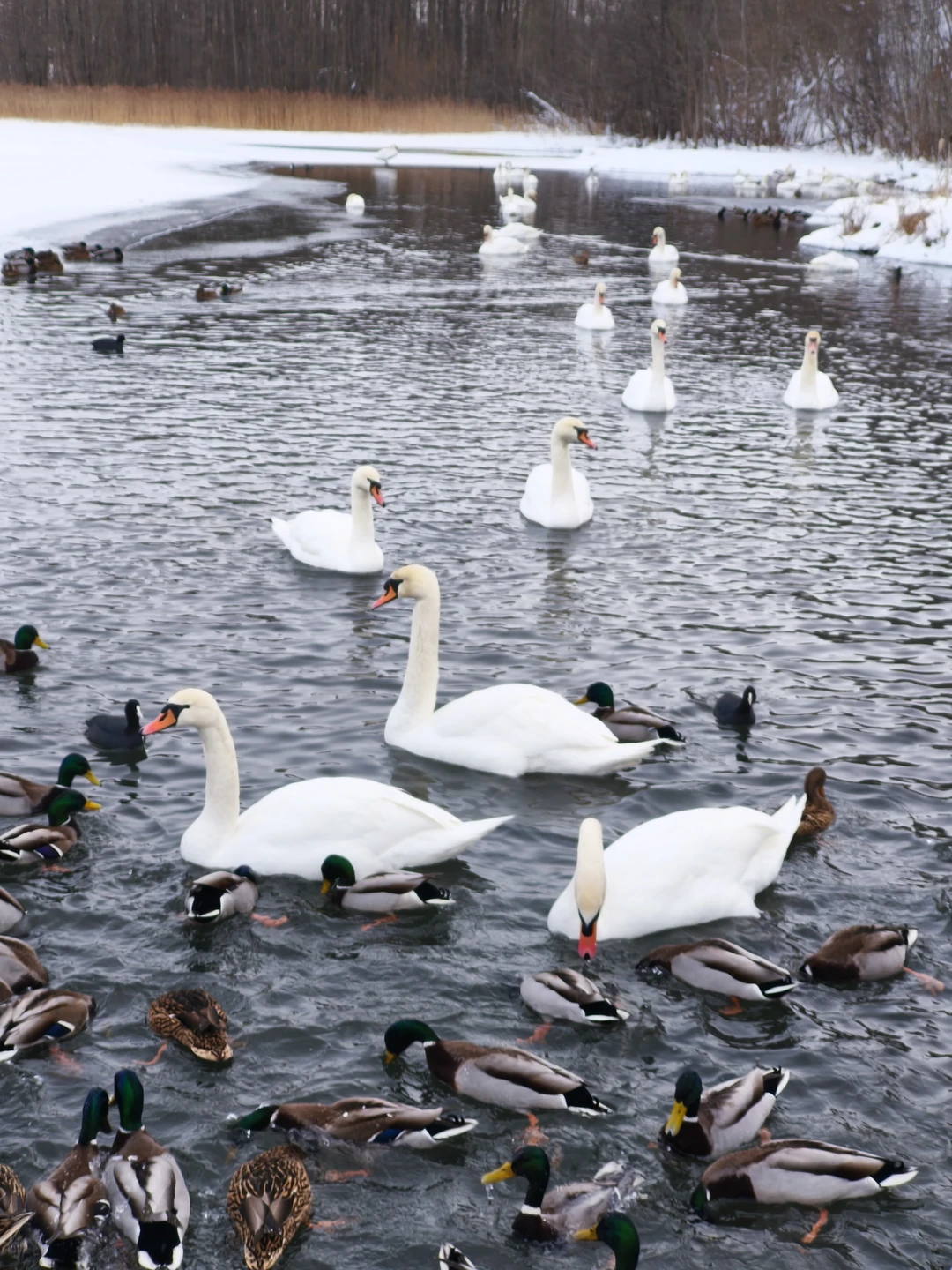 Проводили длинные выходные 23 февраля с друзьями на Псковщине, не могли миновать Изборск. Благодаря Алене почувствовали