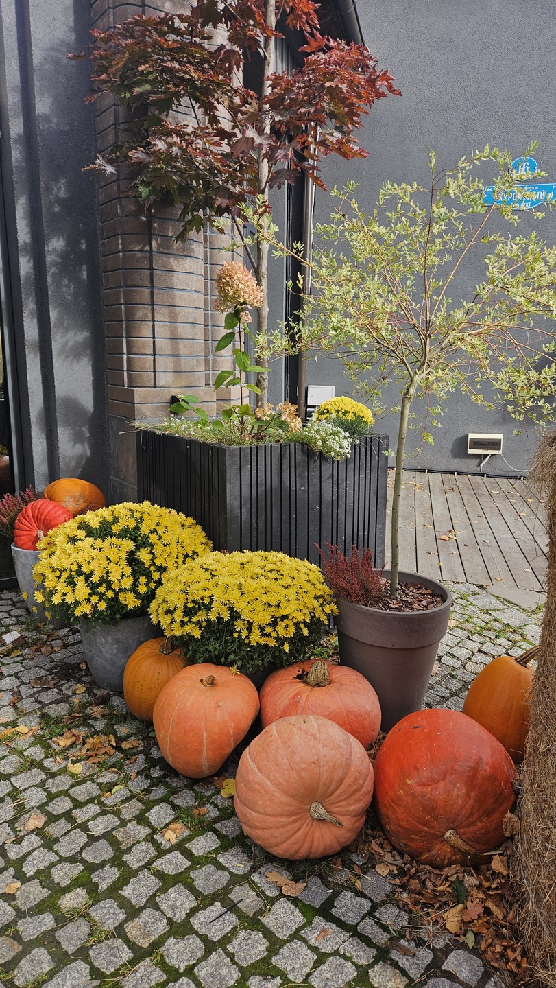 Улочки, дворы и парадные Кранца-Зеленоградска (Виктория)