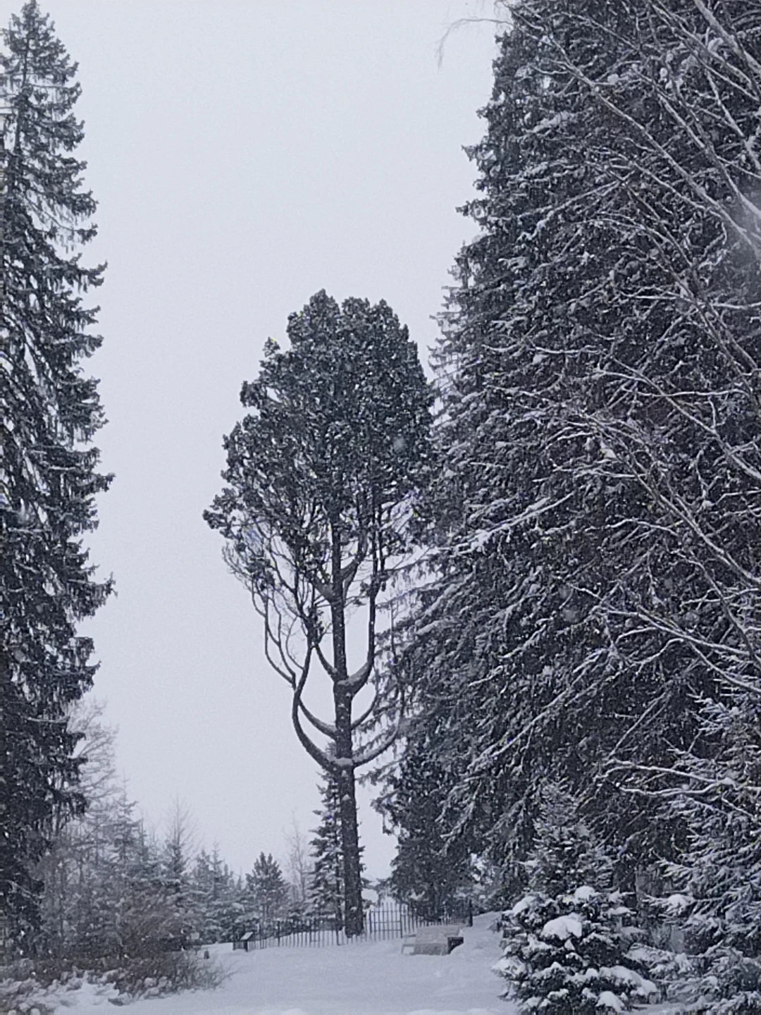 Знакомство с Выборгом: автобусный маршрут с аудиогидом (Ксения)