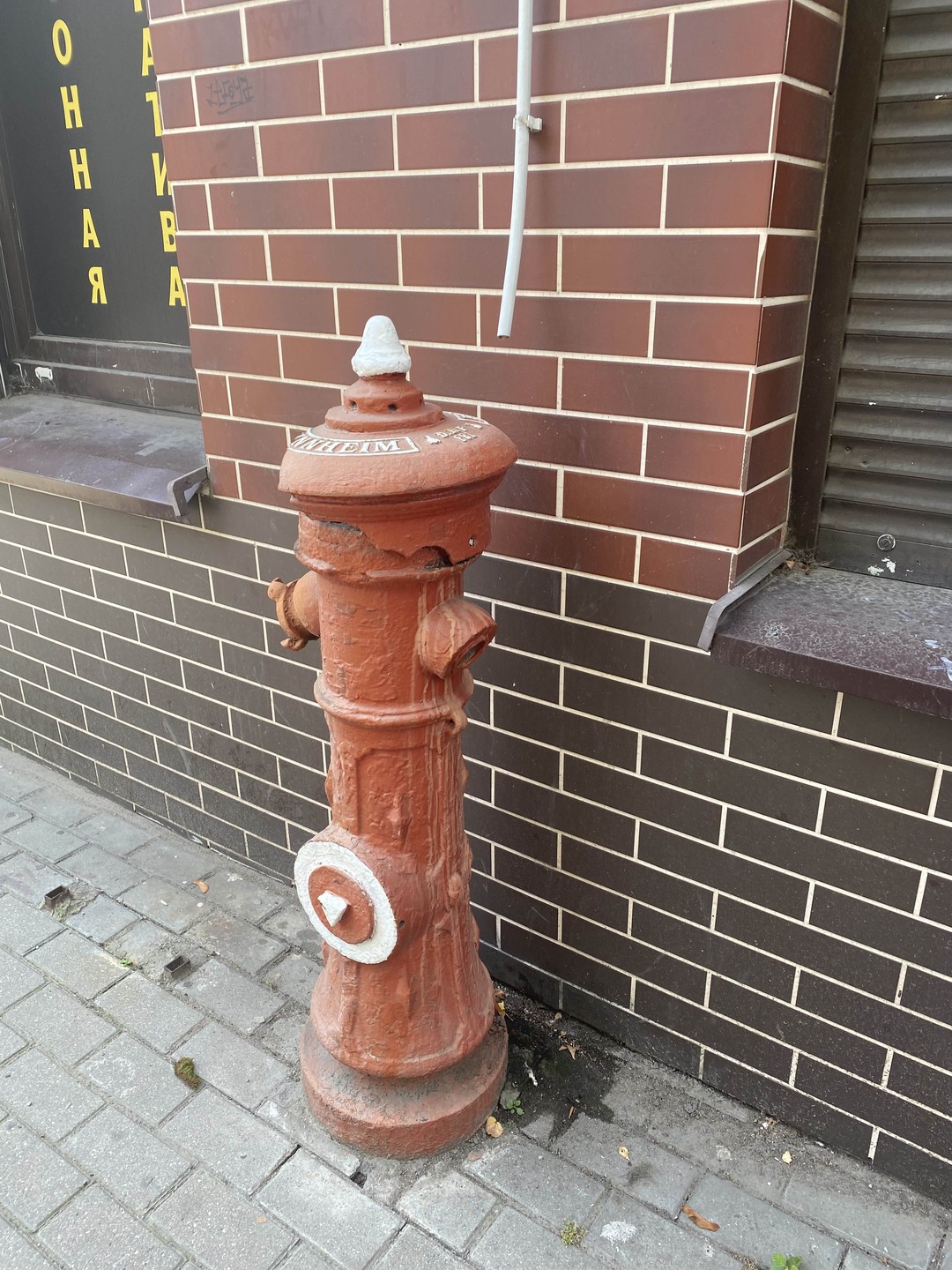 Нойроссгартен: прогулка по старому Кёнигсбергу (Дарья)