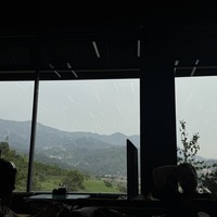 reviews img