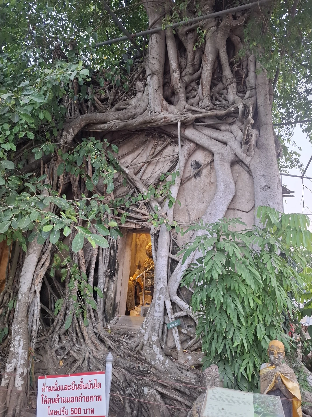 Мы вчера посетили экскурсию "Вокруг Бангкока". Были и поезда, и велорикши и туктуки и разные виды