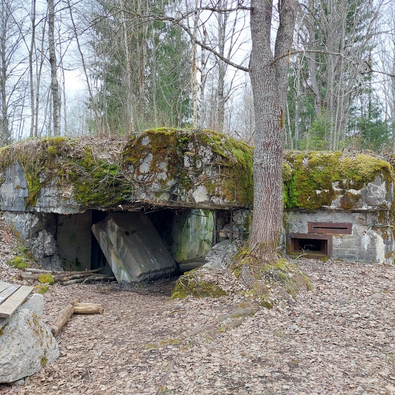 Отличная прогулка с Михаилом его очаровательной помощницей (таксой Милой)
