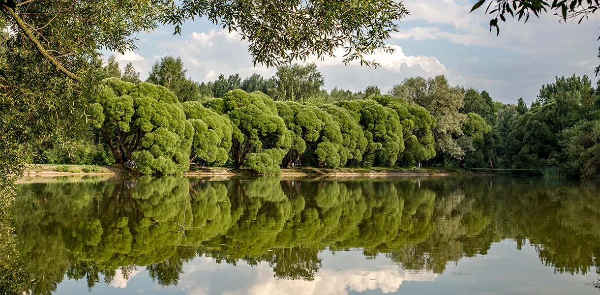 Измайловский парк культуры и отдыха