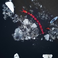 Фото отзыва 1: экскурсия "Флоатинг и айс-флоатинг в Мурманске"