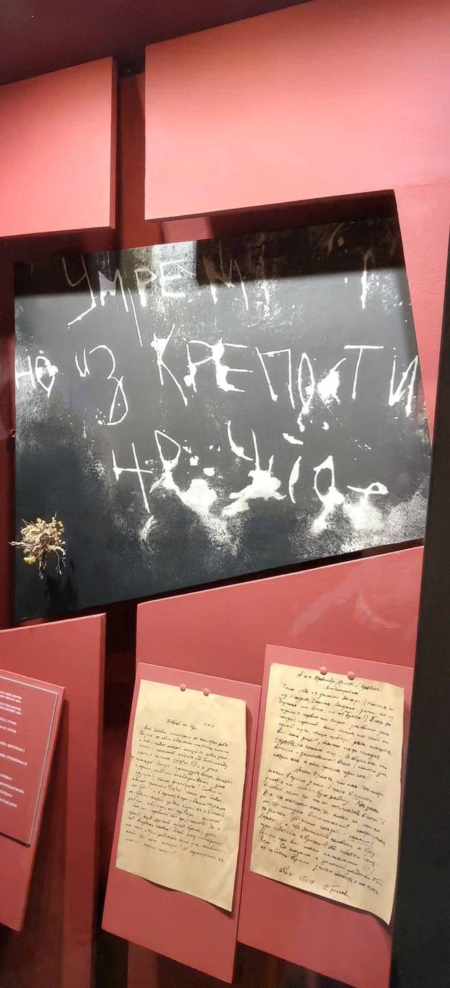 Описать можно одним словом - отвратительно! Посещение Бреста и Брестской крепости рекомендую однозначно, но не с