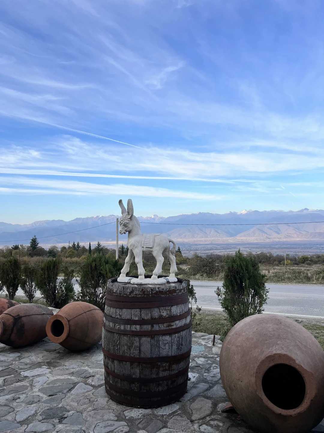 Из Тбилиси - в Кахетию на весь день: вино, храмы и Сигнахи (Алена)