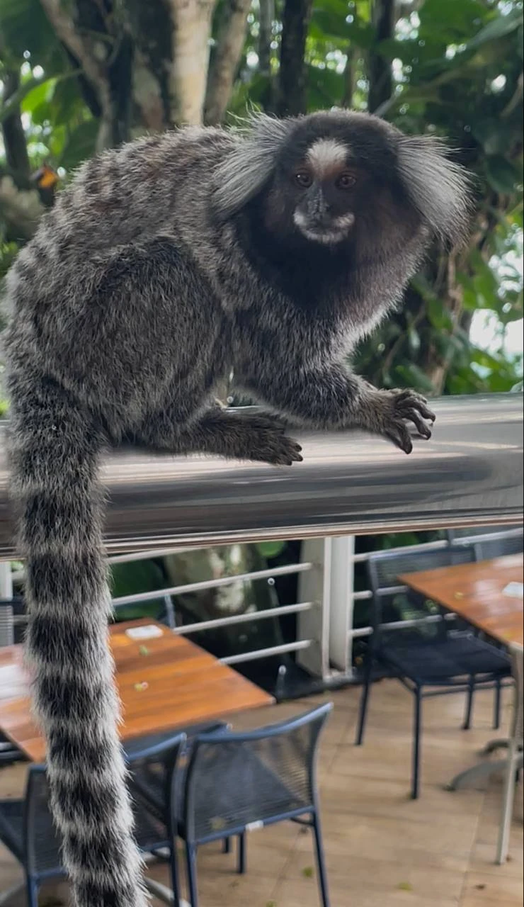 С нами на экскурсии была Татьяна. Нам очень повезло, что мы выбрали такого замечательного экскурсовода. Это