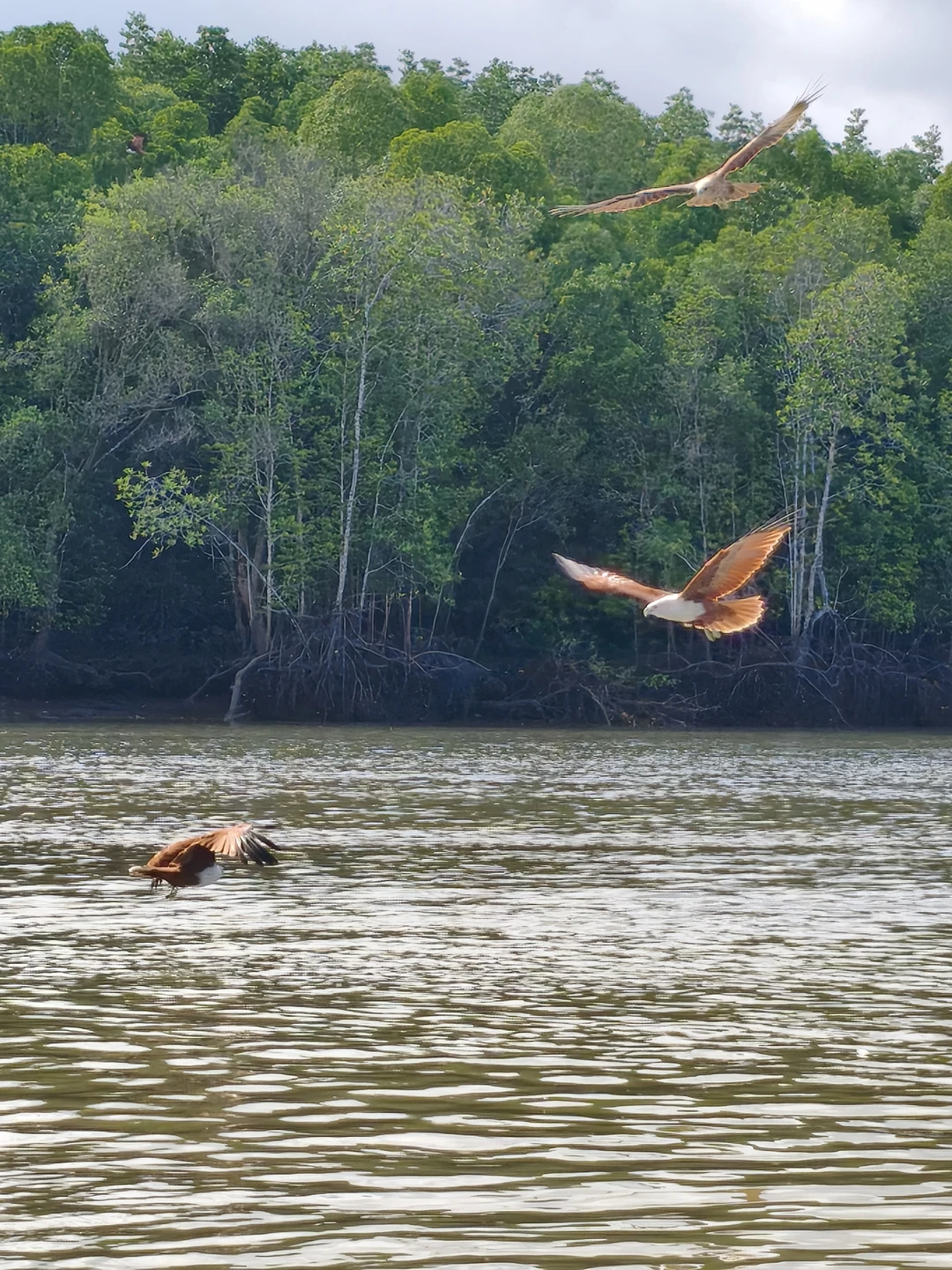 Спасибо Валерии за интересную экскурсию!