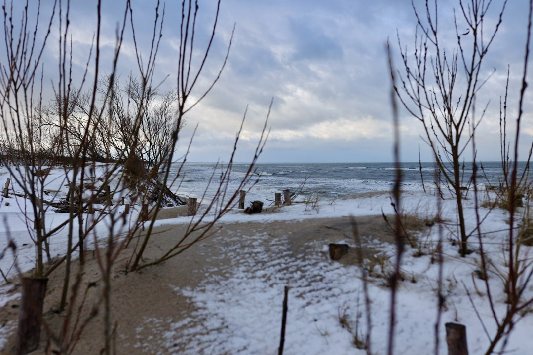 Куршская коса и Зеленоградск за 1 день (из Калининграда) (Максим)