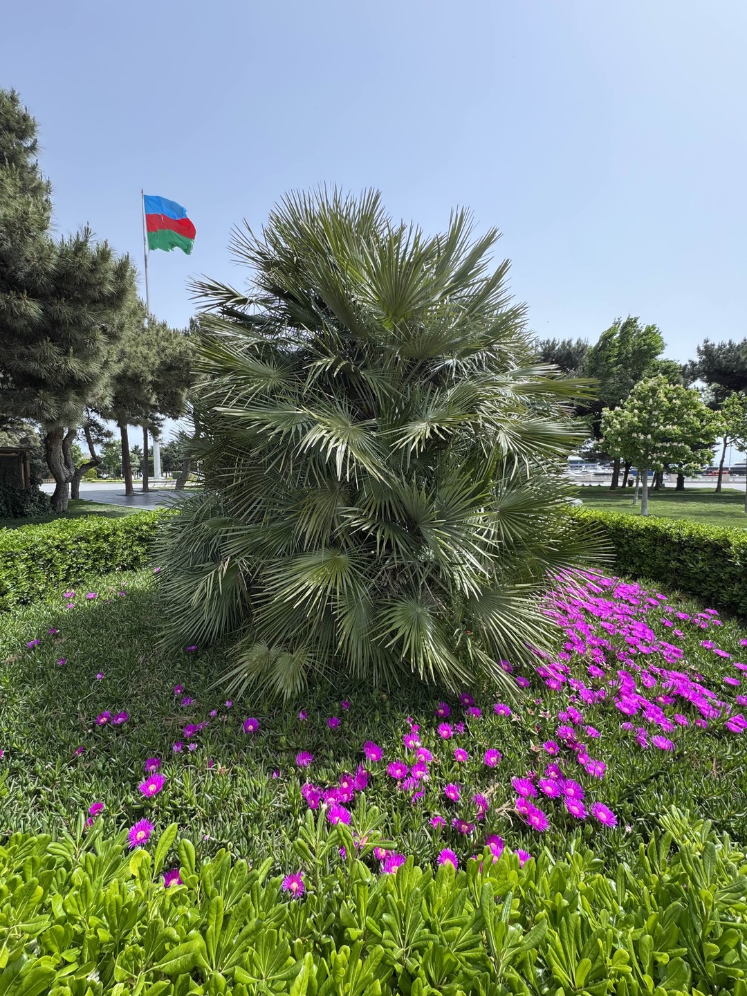 Узнать Баку за 3 часа (Ольга)