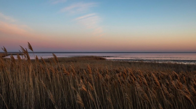 Фото отзыва 1: авторский тур "От степей до солёных озёр: путешествие по югу России"