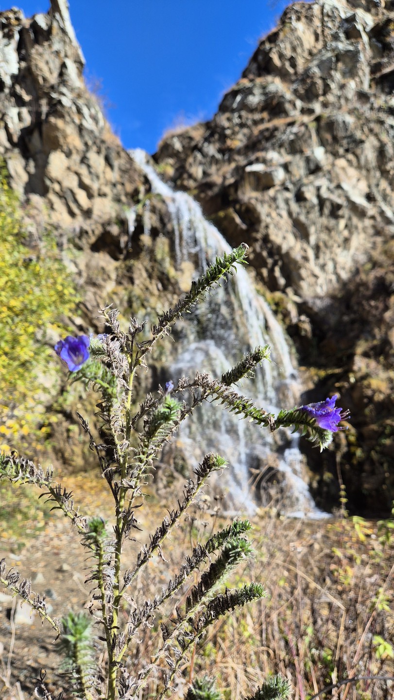 Волшебное путешествие на Джилы-Су (Екатерина)