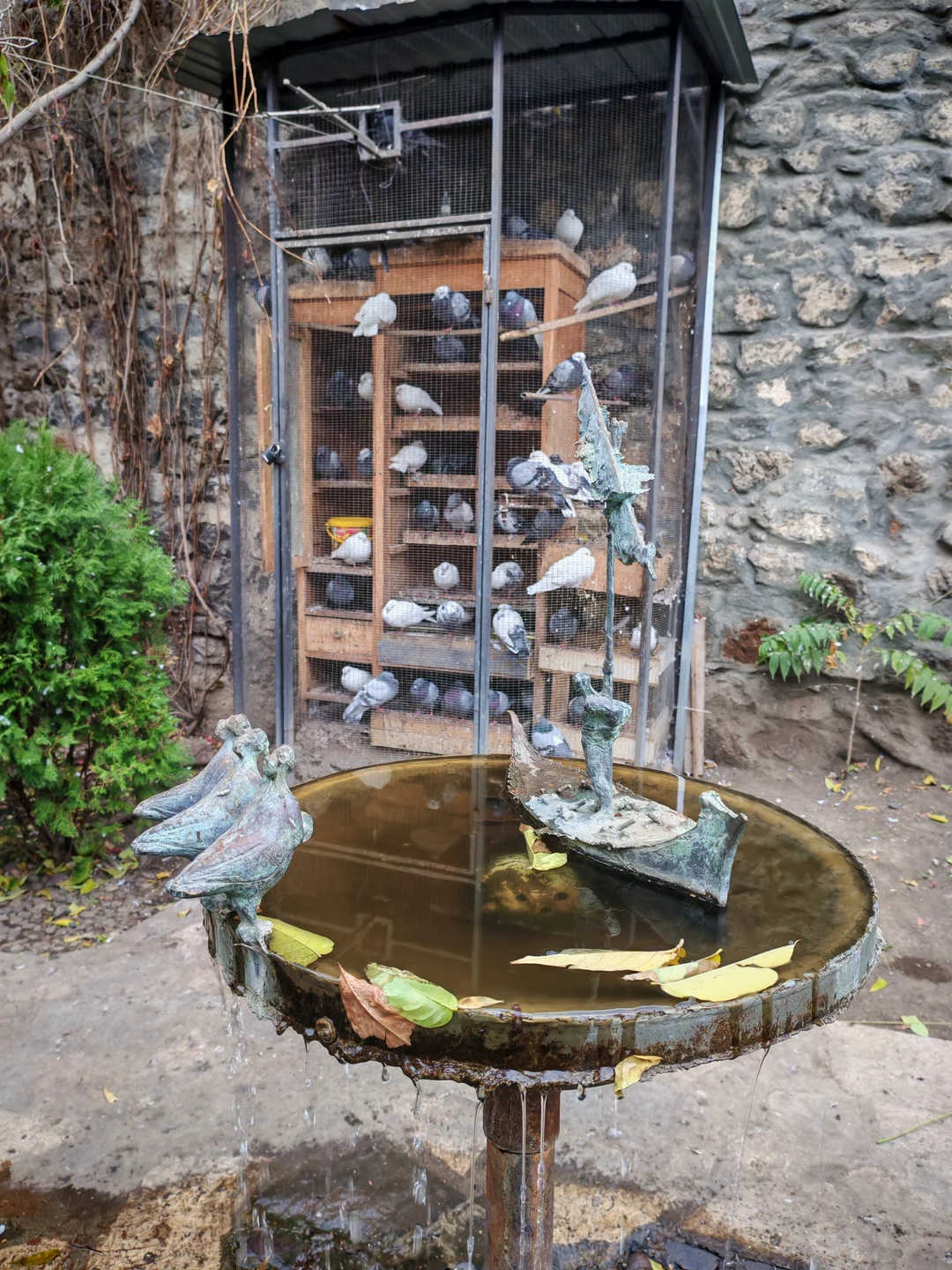 16.11.2025 были на экскурсии с Арамом по прекрасному Еревану. Экскурсия просто потрясающая! Очень много локаций, которые