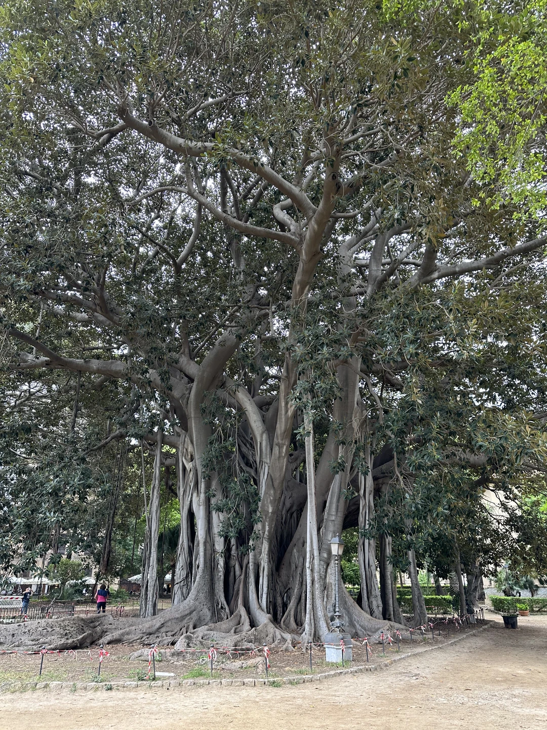 Как вернулась домой, бесконечно рекламирую Ксению среди свои друзей и знакомых! Настоящий мастер своего дела-это не