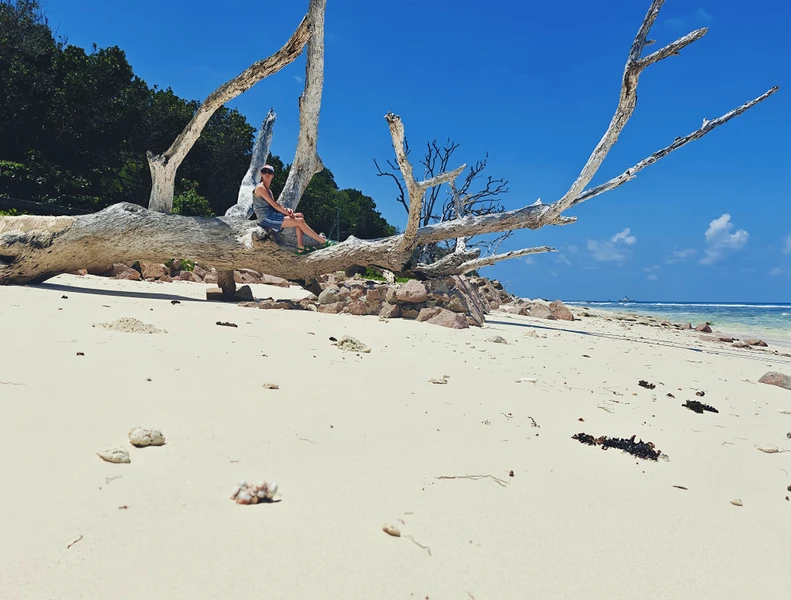 Все прошло отлично, экскурсия яркая! все проходит легко, быстро организованно! Показывают очень красивые места! Все понравилось, спасибо большое!