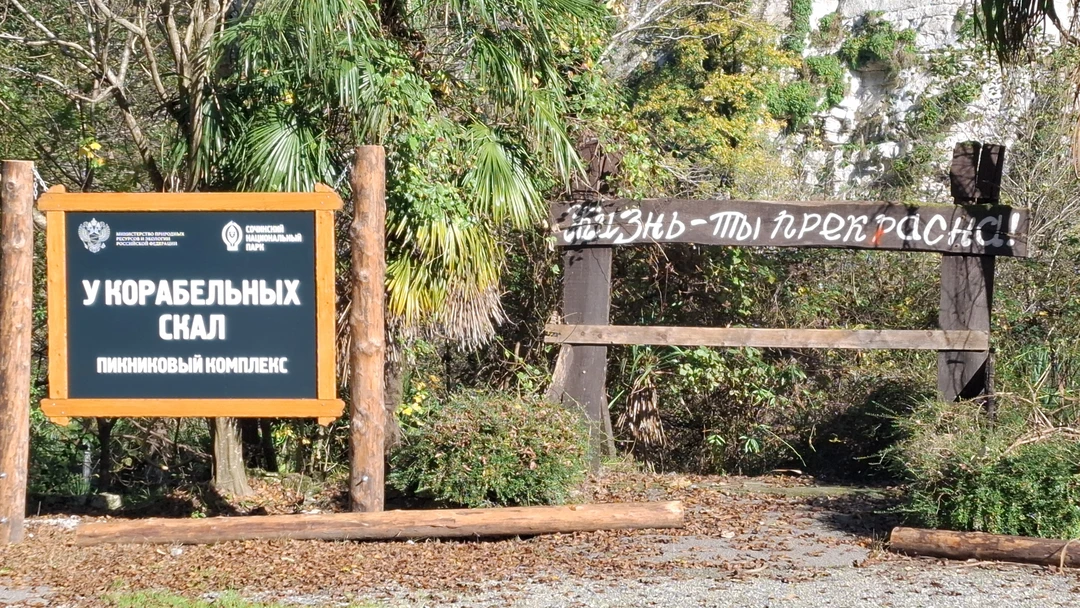 Очень понравилась живая гид Дарья - постоянно была вовлечена в процессе