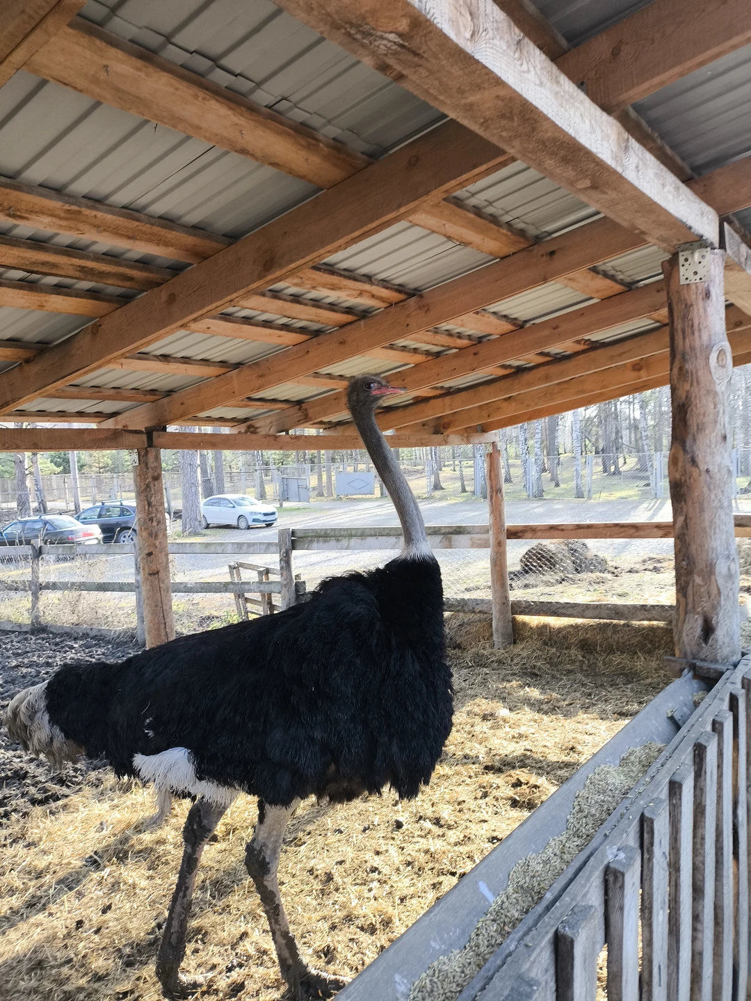 Ездили показать внуку новые места в области, природу и животных