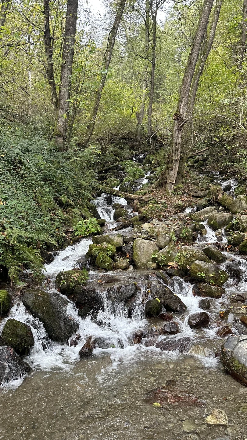 Отличная экскурсия на небольшую группу, уровень сложности маршрута средний, местами неподготовленным может быть сложно, но таких