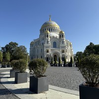 reviews img