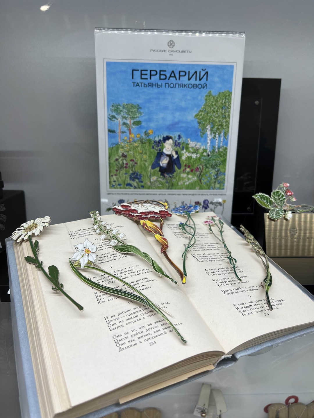 По Костроме на автомобиле и пешком (Елена)