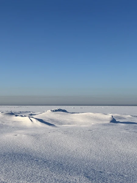 Были в конце января 2026.