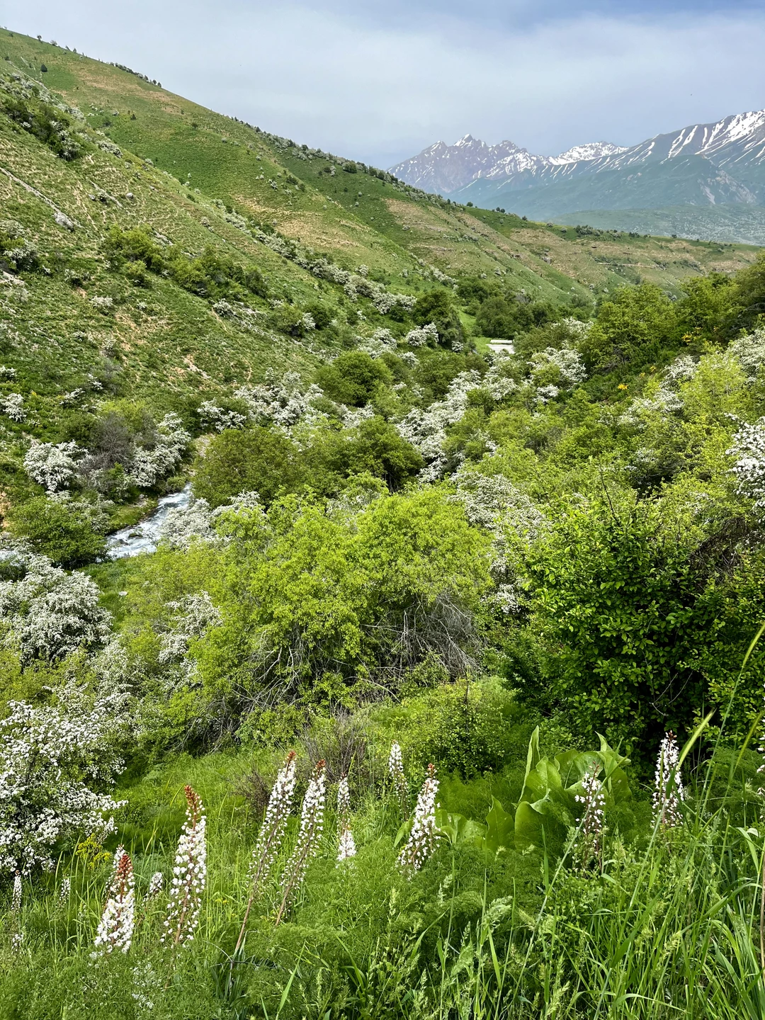 Экскурсия не идеальна, но в целом не пожалели, что съездили. Озера в солнечную погоду выглядят очень