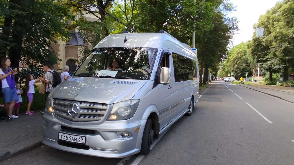 Разноцветная провинция (9/9)