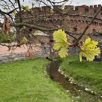 Фото отзыва 3: экскурсия "Индивидуальный тур в Калининград: Балтийск, Светлогорск, Зеленоградск и Куршская коса"
