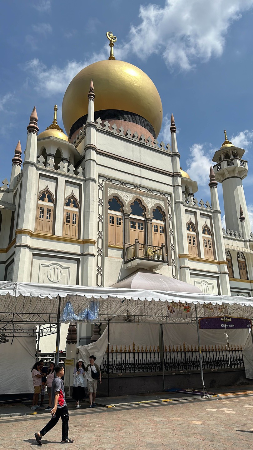 Вчера Ирина провела нам с мужем очень интересную и увлекательную экскурсию по районам Сингапура - индийский