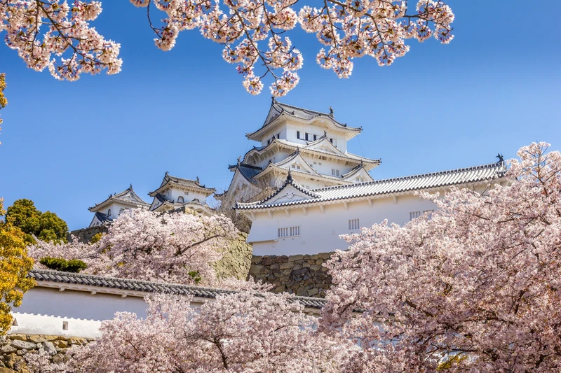 В Японию на цветение сакуры: Токио, Хаконэ, Киото и Осака с экскурсиями и программой по желанию