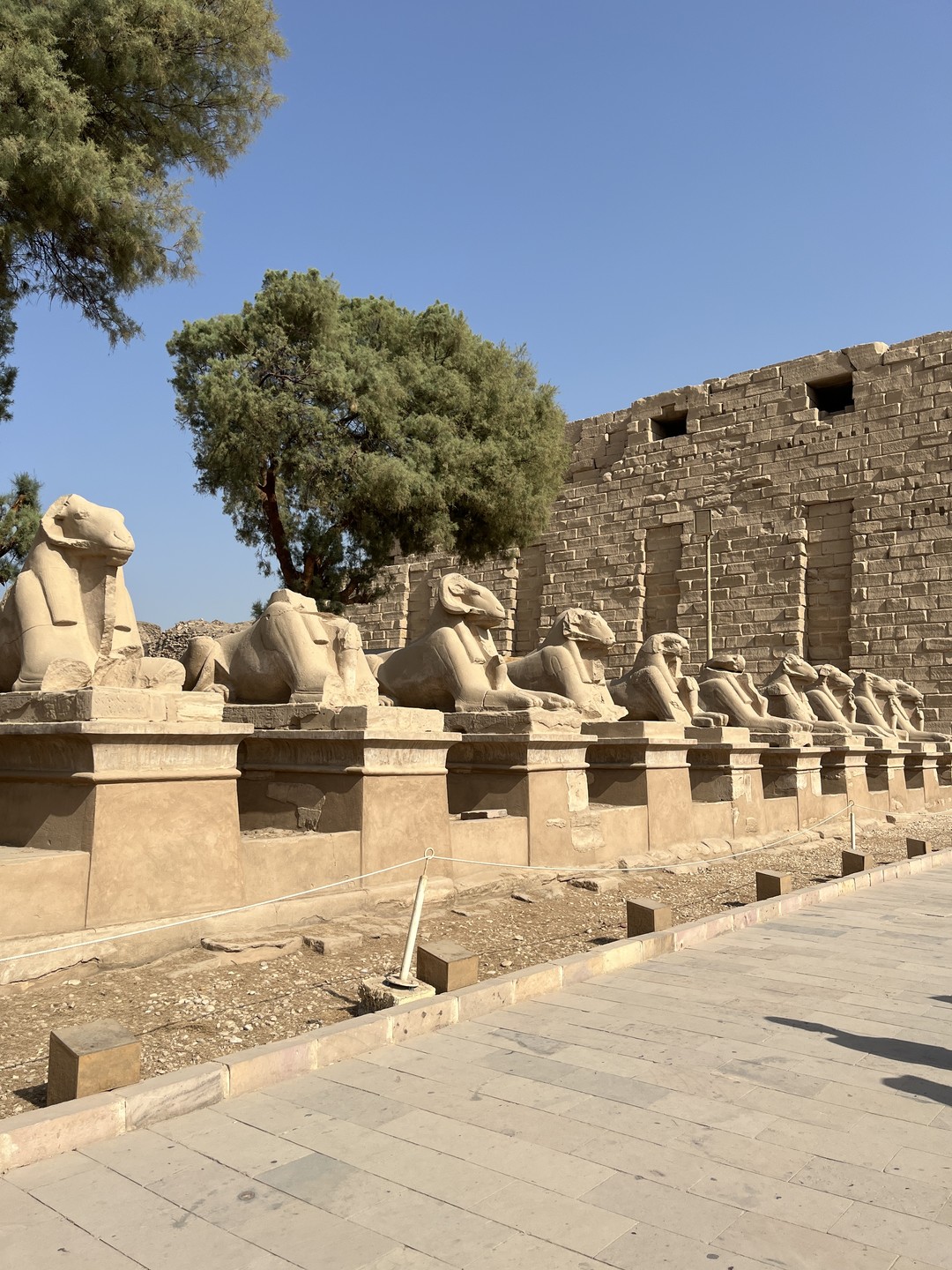 Из Хургады - в древний Луксор (в мини-группе) (Сергей)