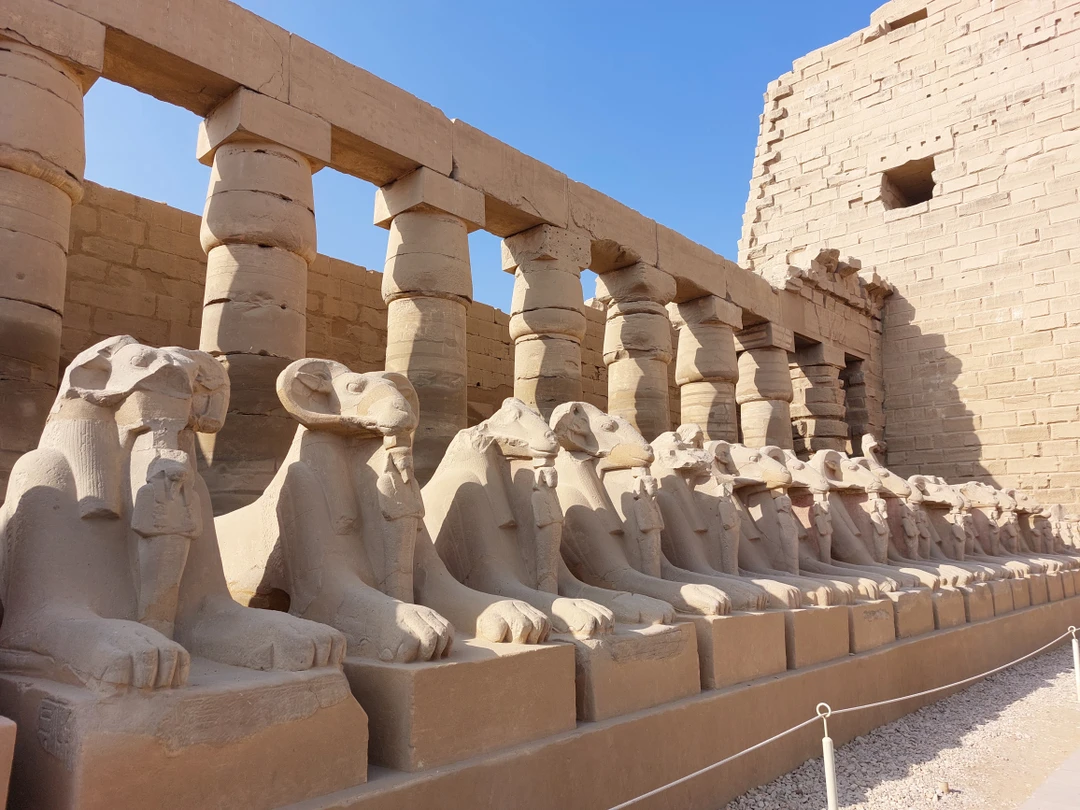 Посещали экскурсию в Луксор в составе компании друзей из шести человек. Нашим гидом был Шаркави. Это