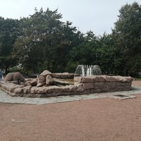 reviews img