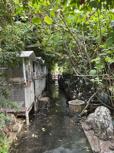 отличная экскурсия. всем рекомендую!