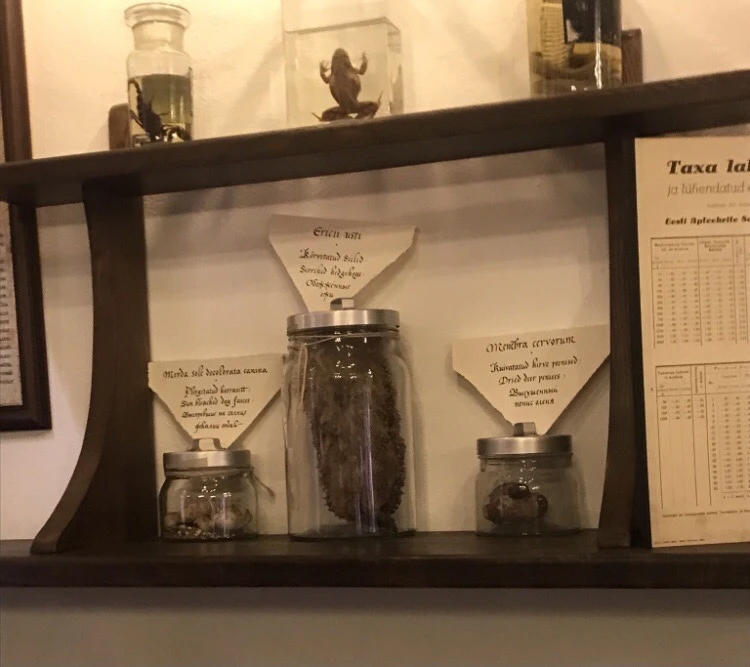 С улыбкой по Старому Таллину (Светлана)