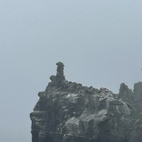 Фото отзыва 1: экскурсия "Релакс-путешествие по островам Японского моря — с гастрономической паузой"