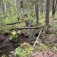 Фото отзыва 1: экскурсия "Душевная прогулка к скалам Чертова городища"