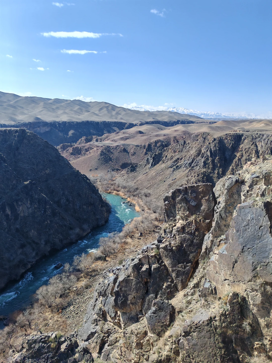 Прекрасная программа, очень красивые виды👍