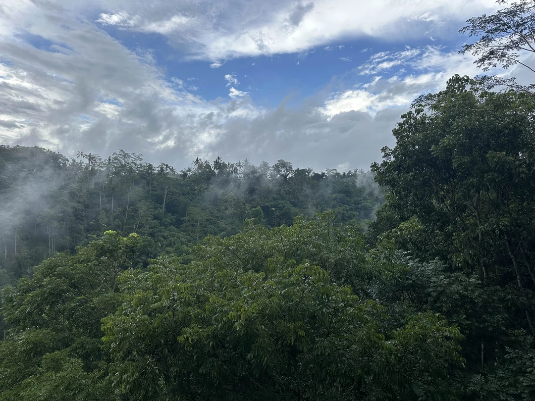 Мы семьей 5 человек провели целый день в путешествии по Бали, которую организовал и просел Мади