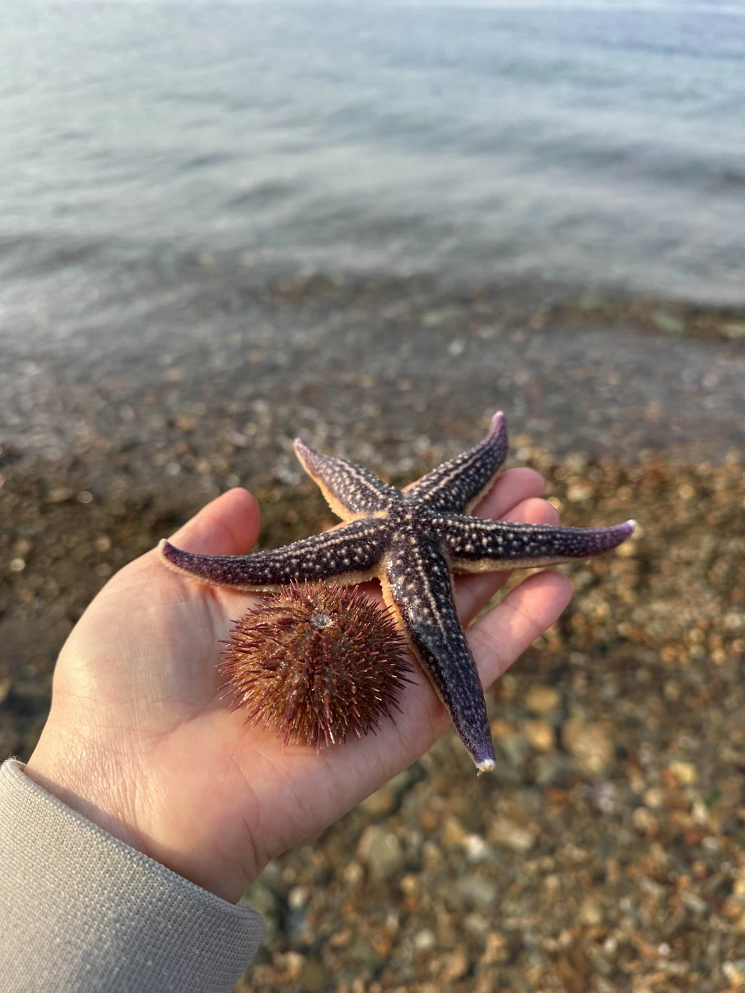 Топ-8 мест для фото во Владивостоке (Дина)