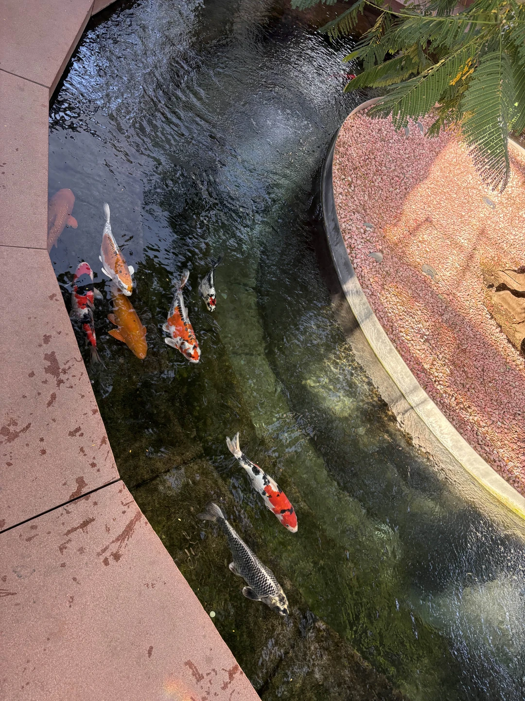 Увлекательная, познавательная, яркая экскурсия по парку Галицкого с замечательным гидом Светланой. За два часа увидели и