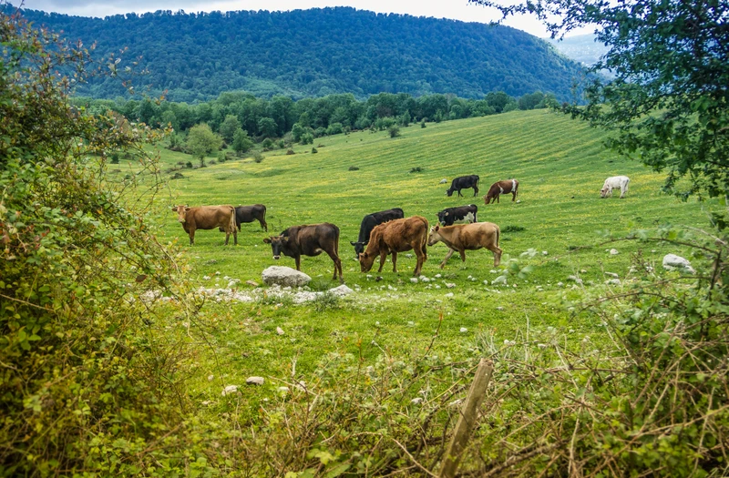 Виды Хайкинг в 3 лучших каньона Сочи за один день