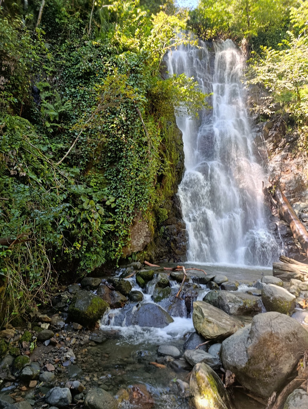 Вчера ездили на индивидуальную экскурсию в горы с гидом-водителем Зазой. Комфортабельный чистый автомобиль, который может ехать