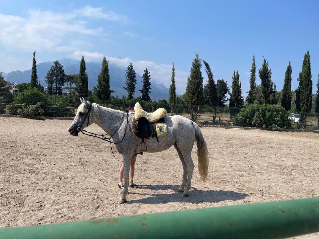 Незабываемая конная прогулка из Кемера!