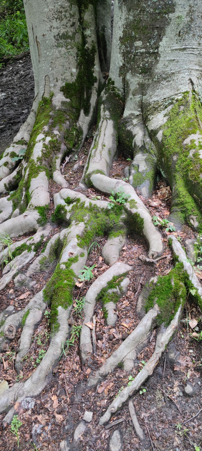 Архыз – жемчужина Кавказа, и это был великолепный день, проведенный там! Наш гид Анзор- настоящий кавказский