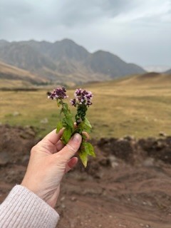 Парк Ала-Арча и горные ущелья за 1 день (Мария)