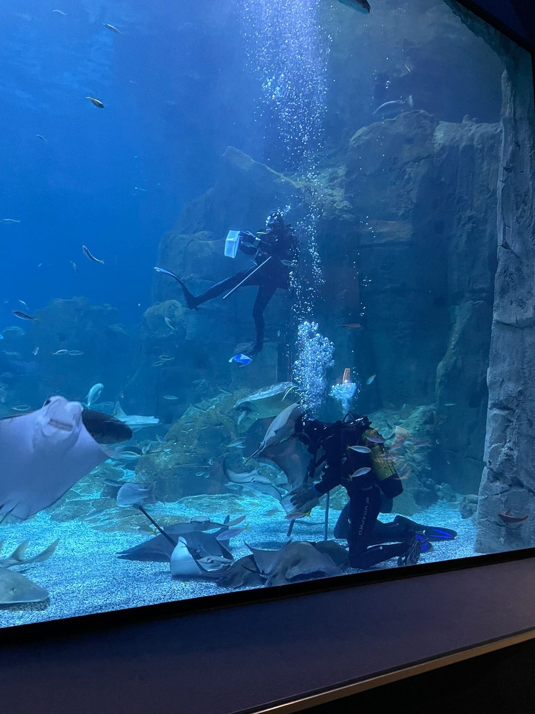 Были в июле в Стамбуле. Посетили данную экскурсию. Вопросов к организаторам в принципе нет, все понравилось