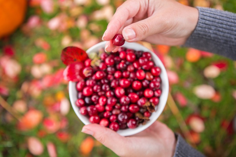 Виды «Сладкая Арктика» — дегустация варенья и мастер-класс