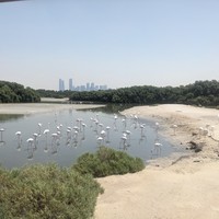 Фото отзыва 2: экскурсия "Поразительный Дубай. Экспресс-тур по мегаполису"